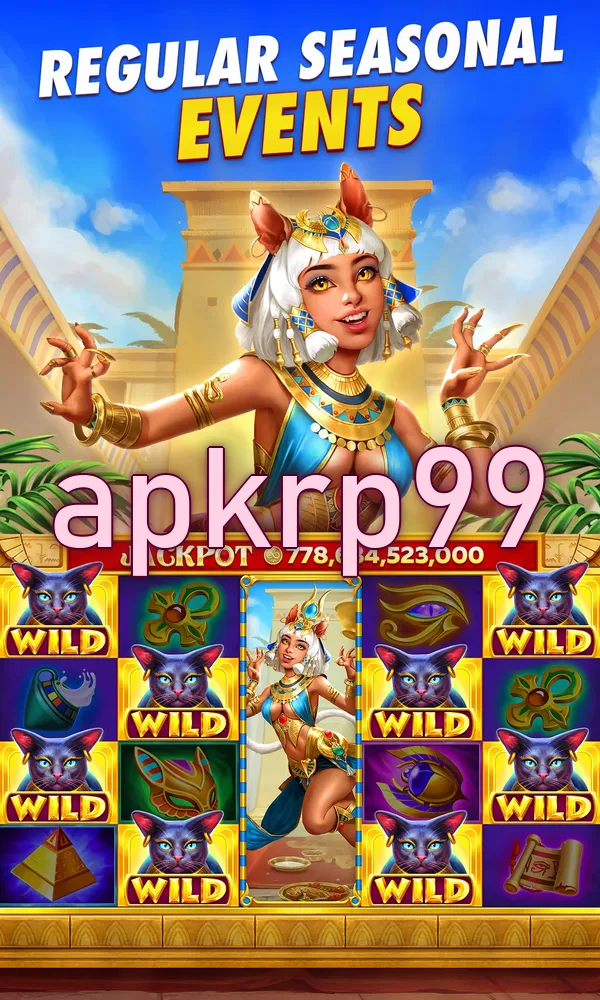 apkrp99 Tangkapan Layar 3